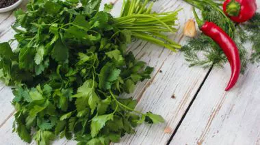 garnishing-instructions-image